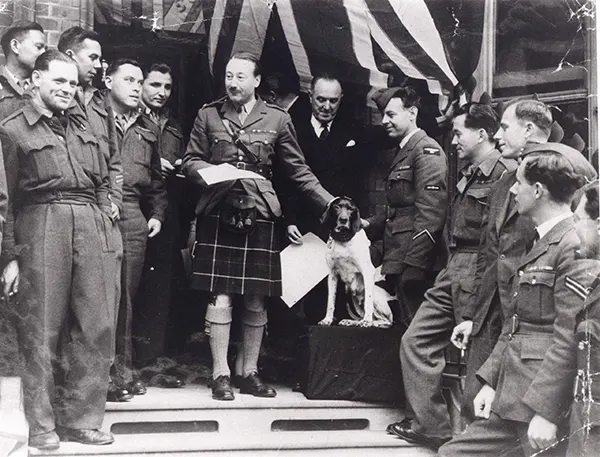 Judy: The Loyal Dog That Became Prisoner of War