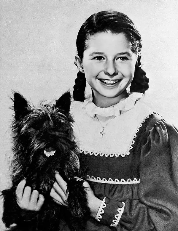 Terry: The Terrier Who Played Toto in The Wizard of Oz