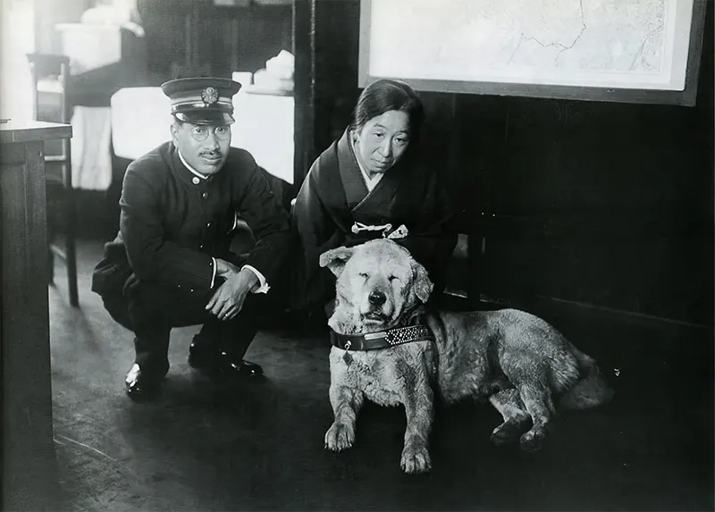 Hachiko Dog Photos