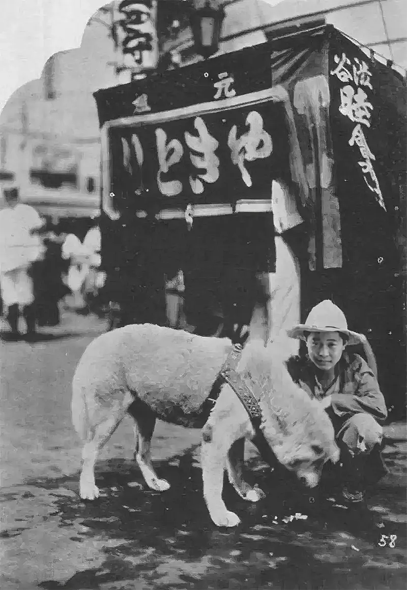 Hachiko Dog Photos