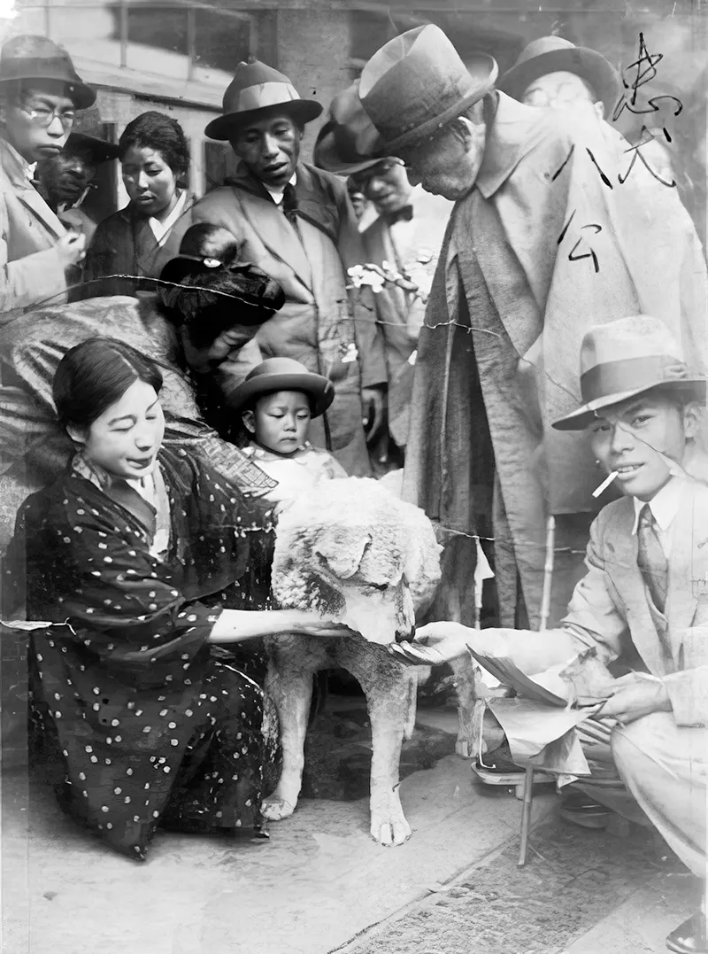 Hachiko Dog Photos