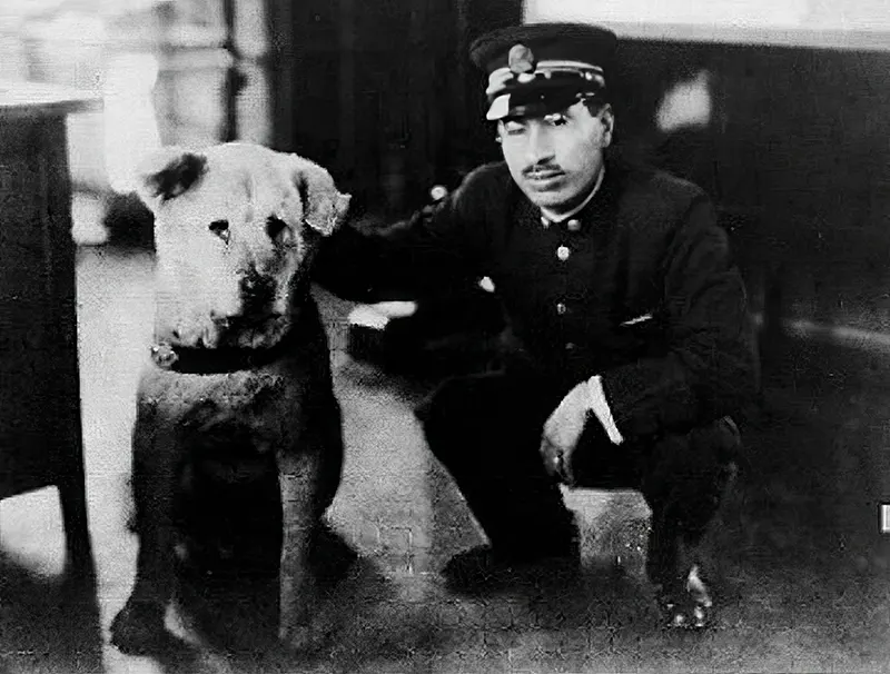 Hachiko Dog Photos