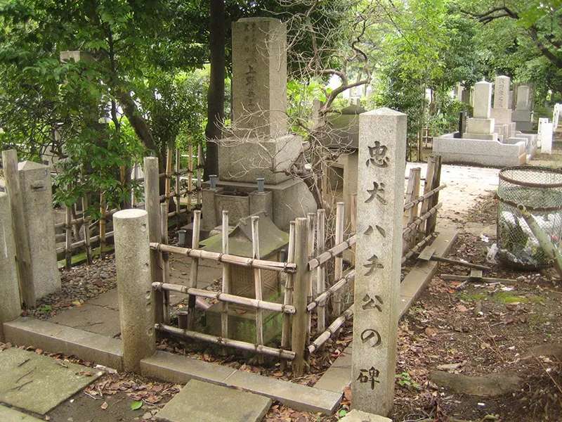 Hachiko Dog Photos