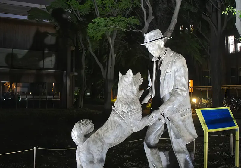 Hachiko Dog Photos
