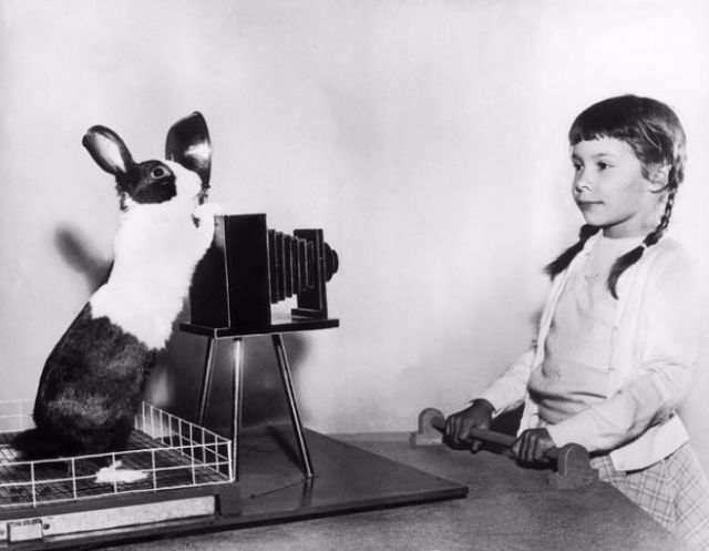 Vintage Photos of People with their pets
