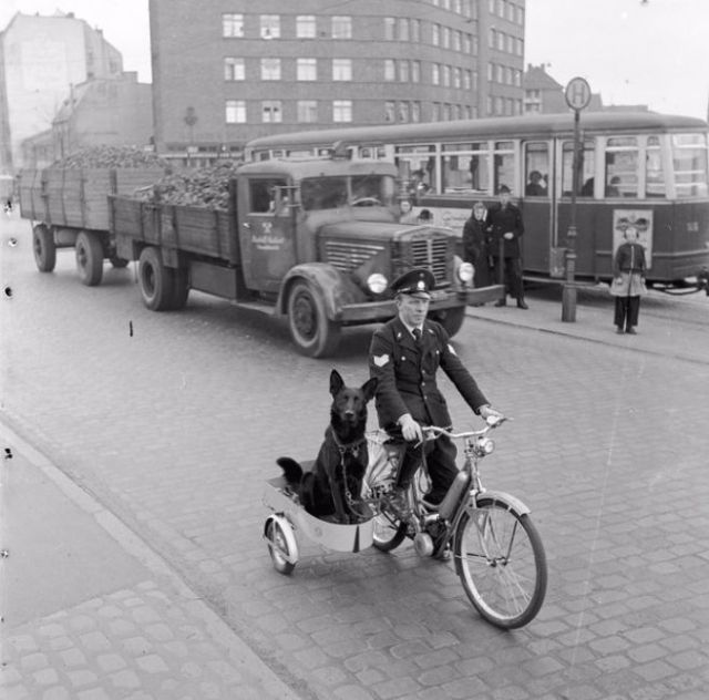 Vintage Photos of People with their pets