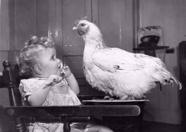 Vintage Photos of People with their pets
