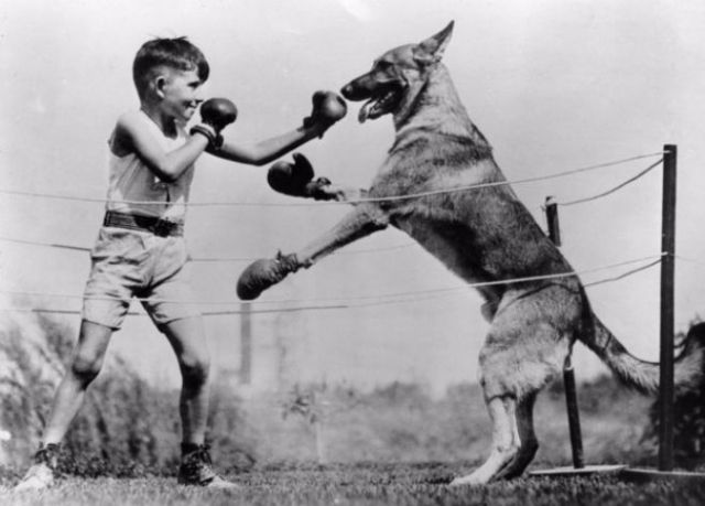 Vintage Photos of People with their pets