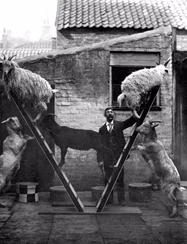 Vintage Photos of People with their pets