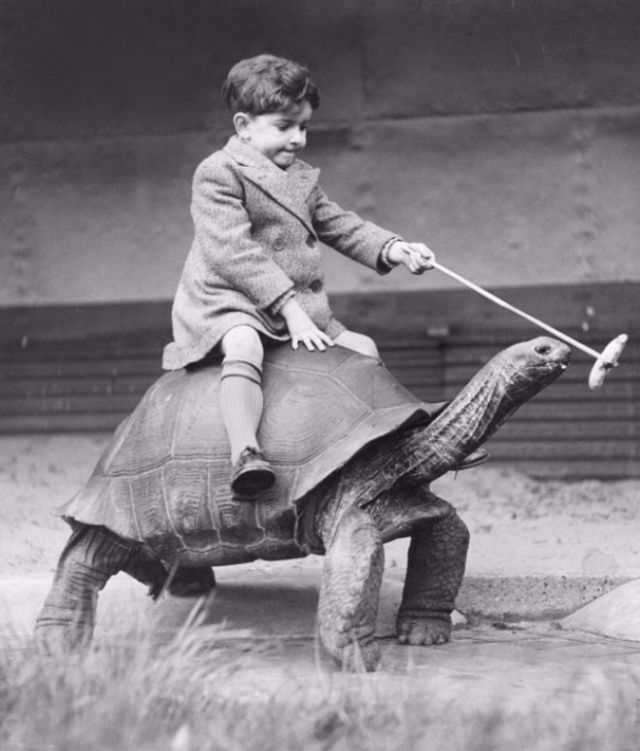 Vintage Photos of People with their pets