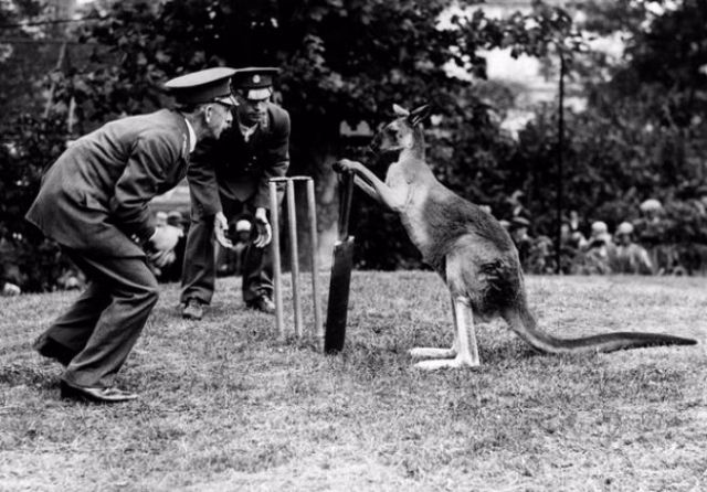 Vintage Photos of People with their pets