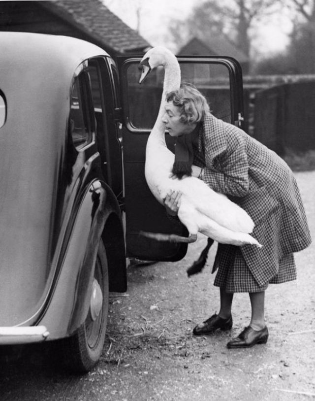 Vintage Photos of People with their pets