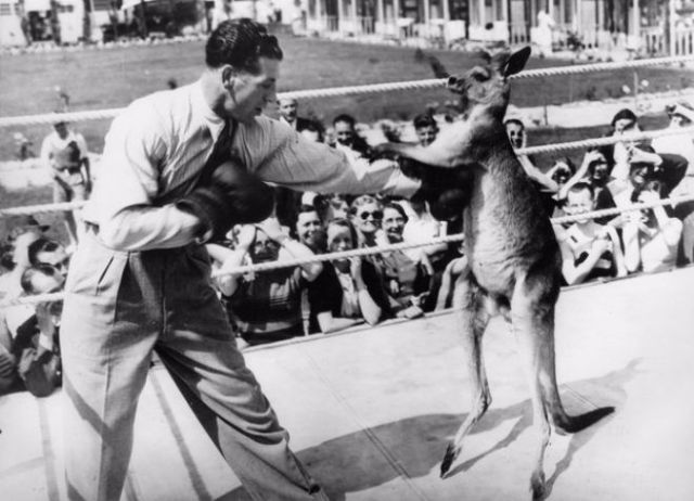 Vintage Photos of People with their pets