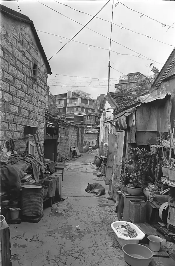 Kowloon Walled City Photos