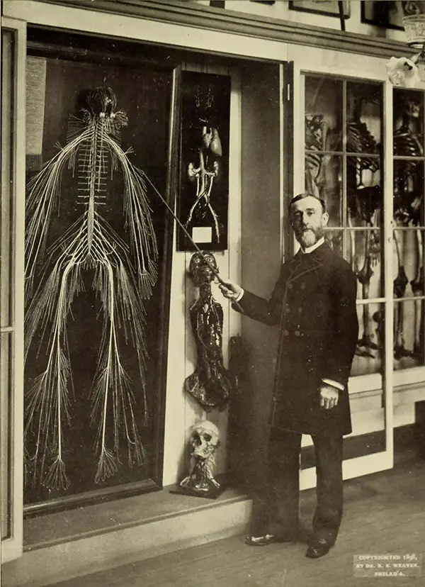 Bizarre Photos from History