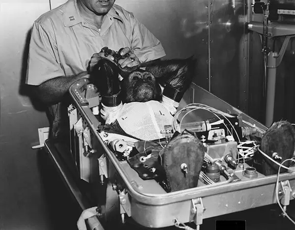 Bizarre Photos from History