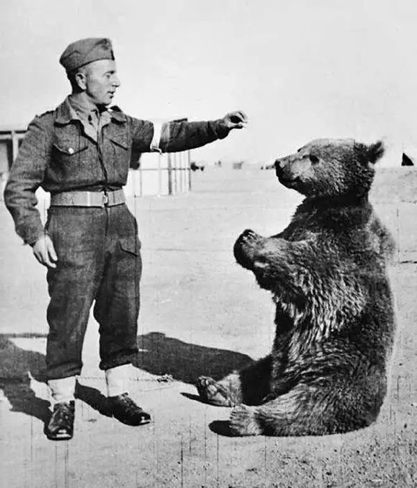 Bizarre Photos from History