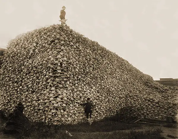 Bizarre Photos from History