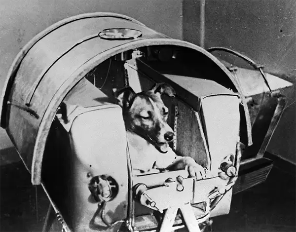 Bizarre Photos from History