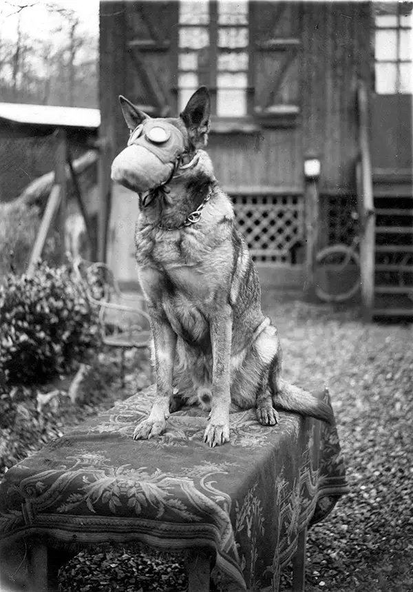 Bizarre Photos from History