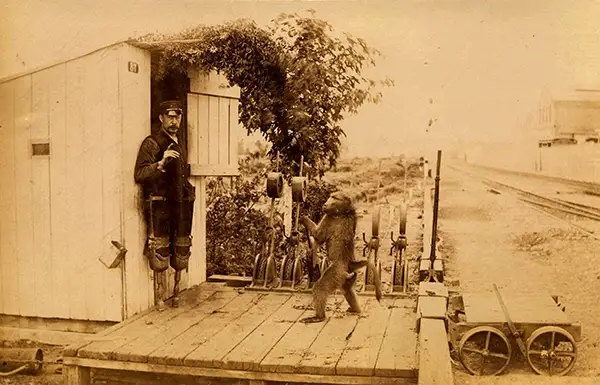 Bizarre Photos from History