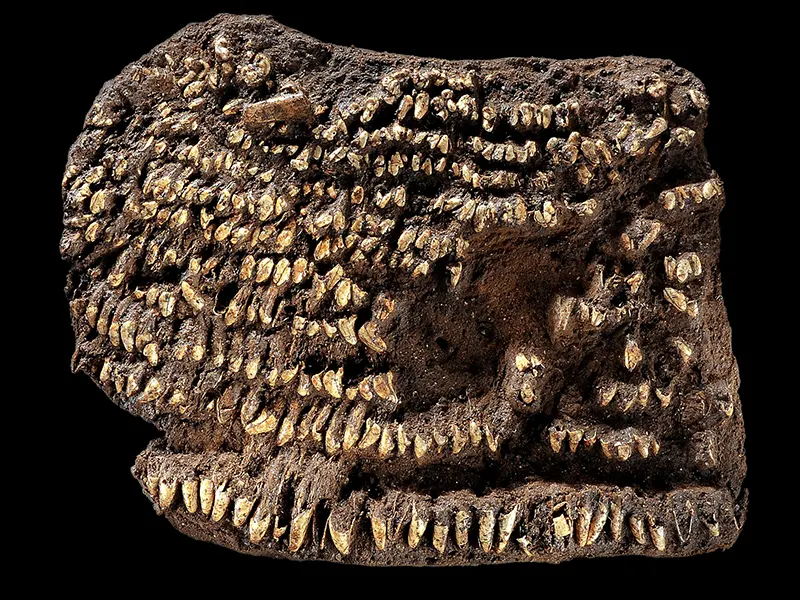 Oldest Purse (4,500 years old)
