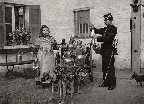 Vintage Photos from the Time When Milk Delivery Was Done by Dog-Drawn Carts