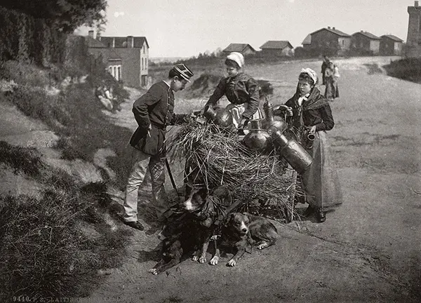 Vintage Photos from the Time When Milk Delivery Was Done by Dog-Drawn Carts