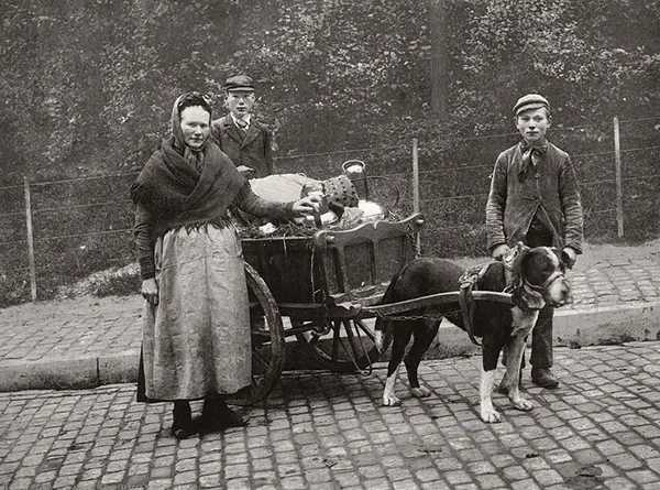 Vintage Photos from the Time When Milk Delivery Was Done by Dog-Drawn Carts