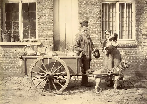 Vintage Photos from the Time When Milk Delivery Was Done by Dog-Drawn Carts