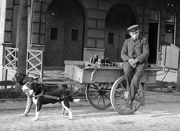 Vintage Photos from the Time When Milk Delivery Was Done by Dog-Drawn Carts