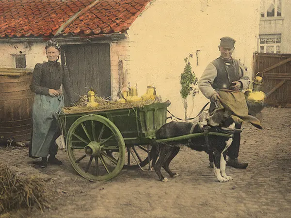 Vintage Photos from the Time When Milk Delivery Was Done by Dog-Drawn Carts