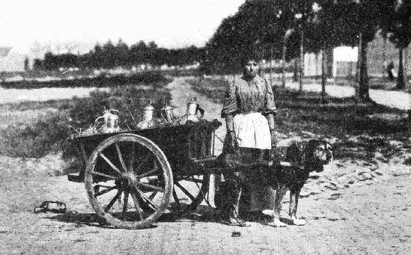 Vintage Photos from the Time When Milk Delivery Was Done by Dog-Drawn Carts