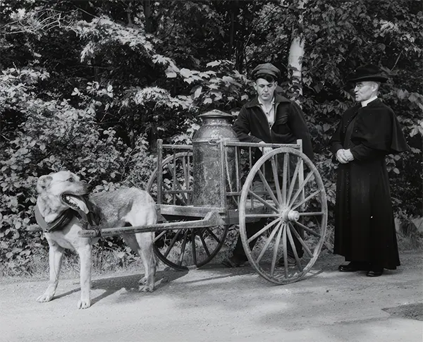 Vintage Photos from the Time When Milk Delivery Was Done by Dog-Drawn Carts