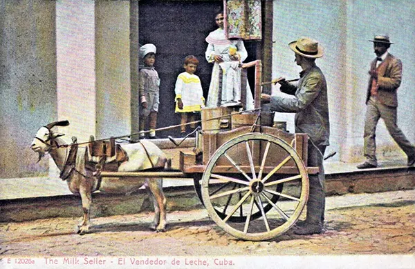 Vintage Photos from the Time When Milk Delivery Was Done by Dog-Drawn Carts
