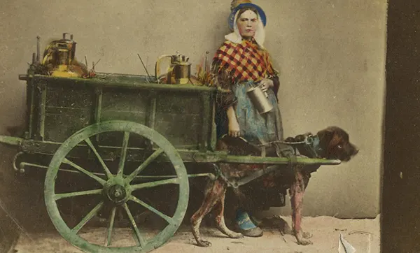 Vintage Photos from the Time When Milk Delivery Was Done by Dog-Drawn Carts