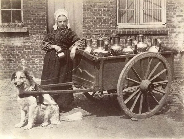 Vintage Photos from the Time When Milk Delivery Was Done by Dog-Drawn Carts