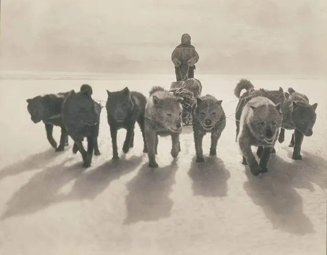 Early Expeditions to Antarctica Old Photos