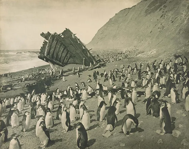Early Expeditions to Antarctica Old Photos