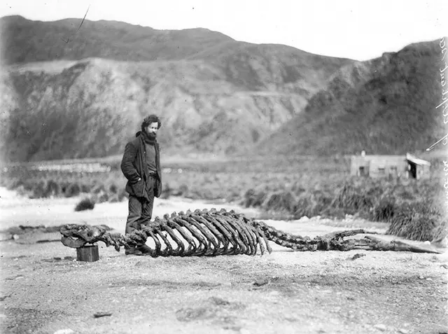 Early Expeditions to Antarctica Old Photos