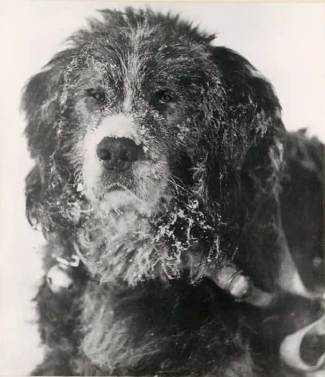 Early Expeditions to Antarctica Old Photos