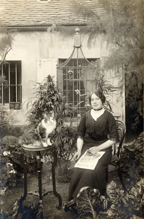 Adorable Photos of People and Their Cats from the early 20th century