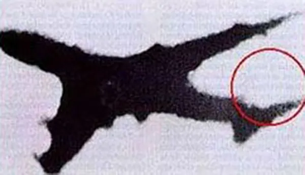 Photos from Japan Airlines Flight 123