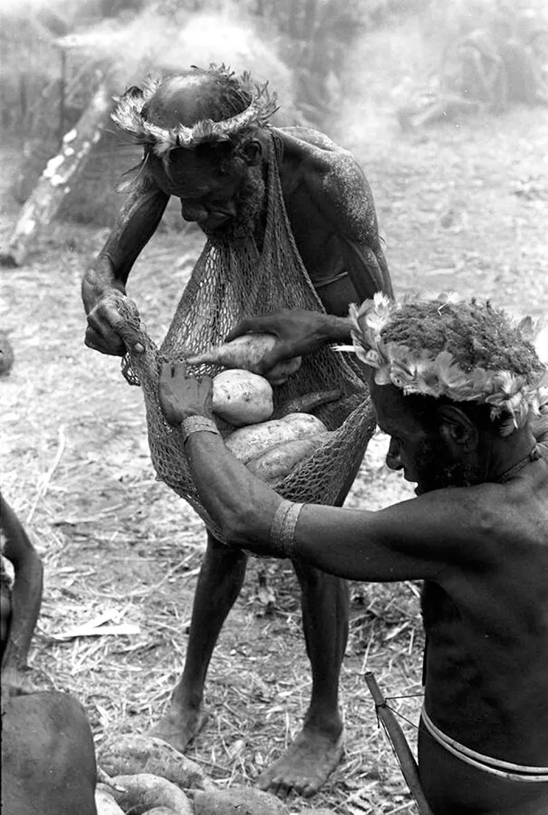 Michael Rockefeller Disappearance Photos