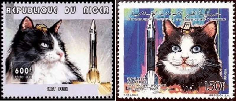 Astrocat Félicette in Photos