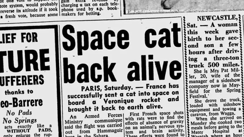 Astrocat Félicette in Photos