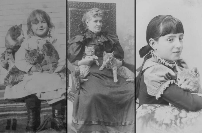 Adorable Photos of People and Their Cats from 110+ Years