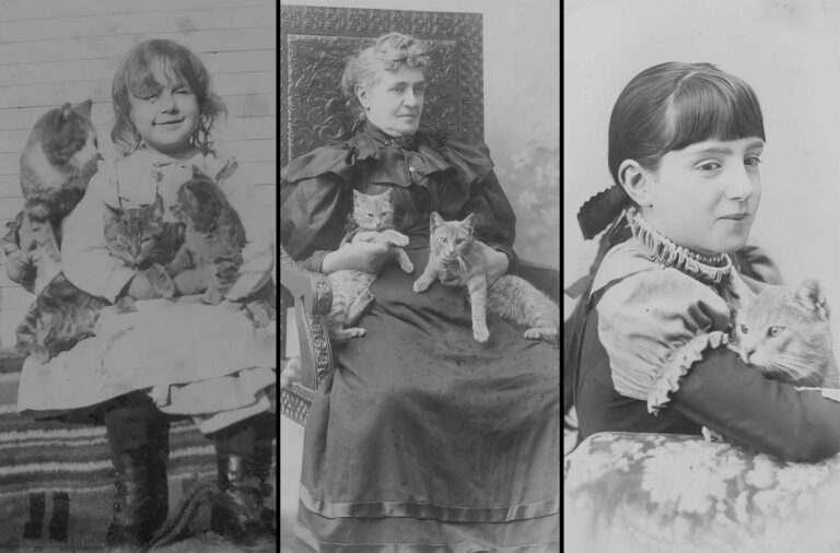 Adorable Photos of People and Their Cats from 110+ Years Ago