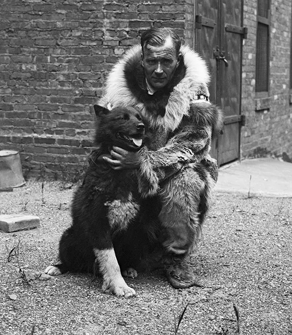 Balto: The Legendary Dog Hero Who Rescued a Whole Town