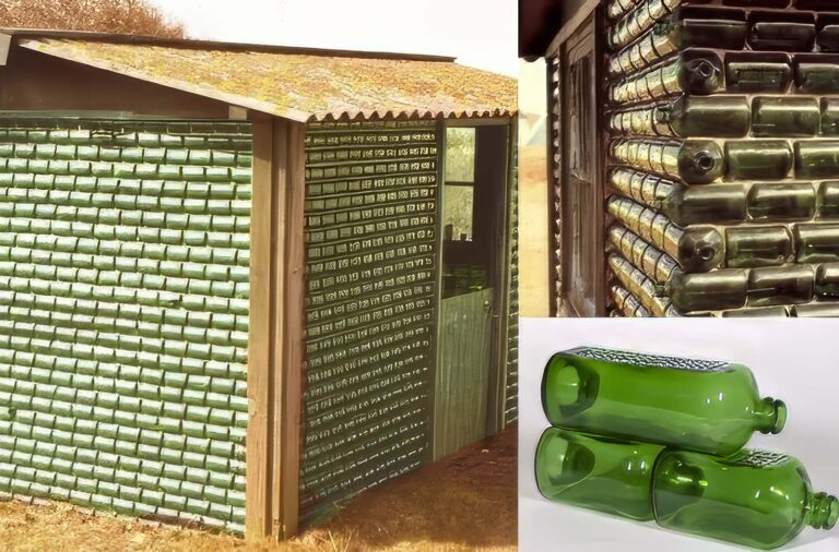 From Bottles to Bricks: Heineken’s 1964 Effort to Build Homes with Beer Bottles